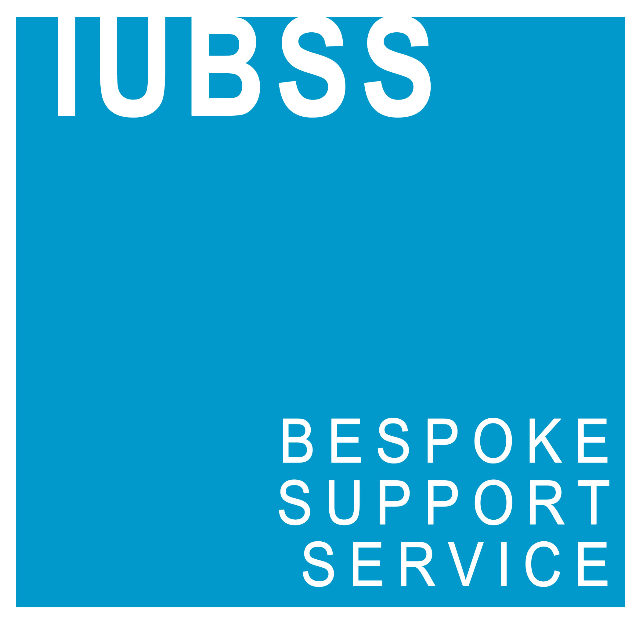 Independent User HW Bespoke Support Service Ltd Logo